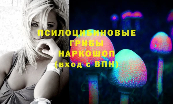 прущая мука Арсеньев