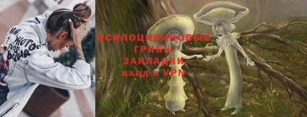 прущая мука Арсеньев