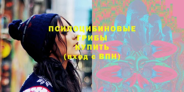 прущая мука Арсеньев