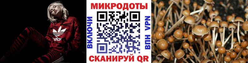 Псилоцибиновые грибы мухоморы  купить закладку  Миллерово 